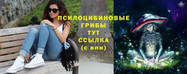 стафф Елабуга