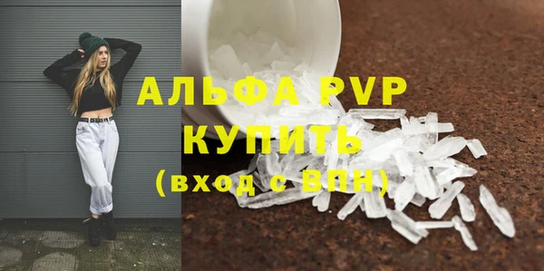 стафф Елабуга