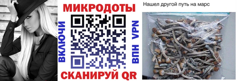Галлюциногенные грибы Magic Shrooms  Свободный 
