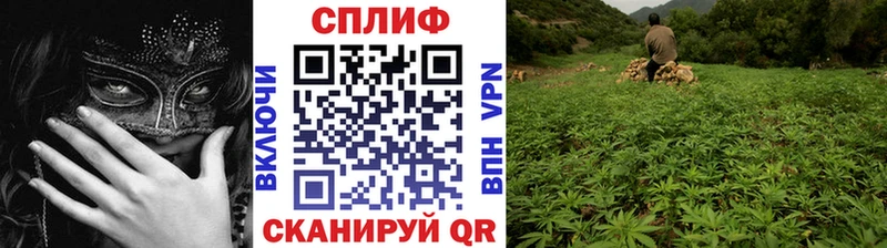 Каннабис планчик купить наркотики сайты hydra tor Свободный